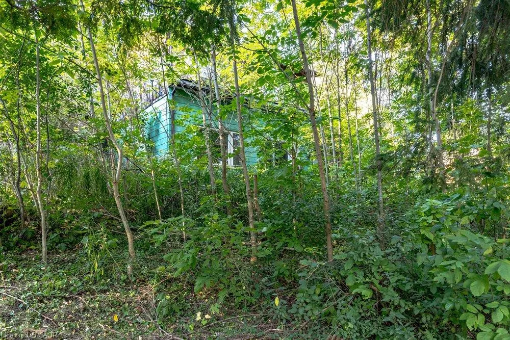 961 Lower Lions Club Road