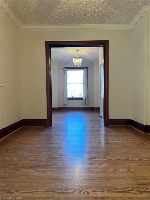 72 Alanson Street #1
