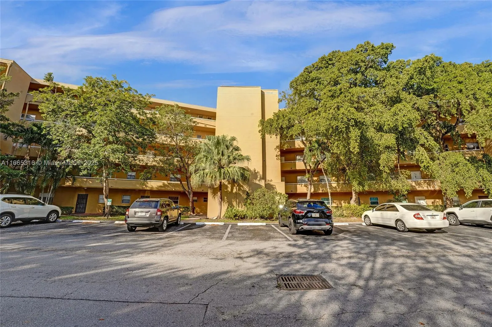 4111 Stirling Rd, #502