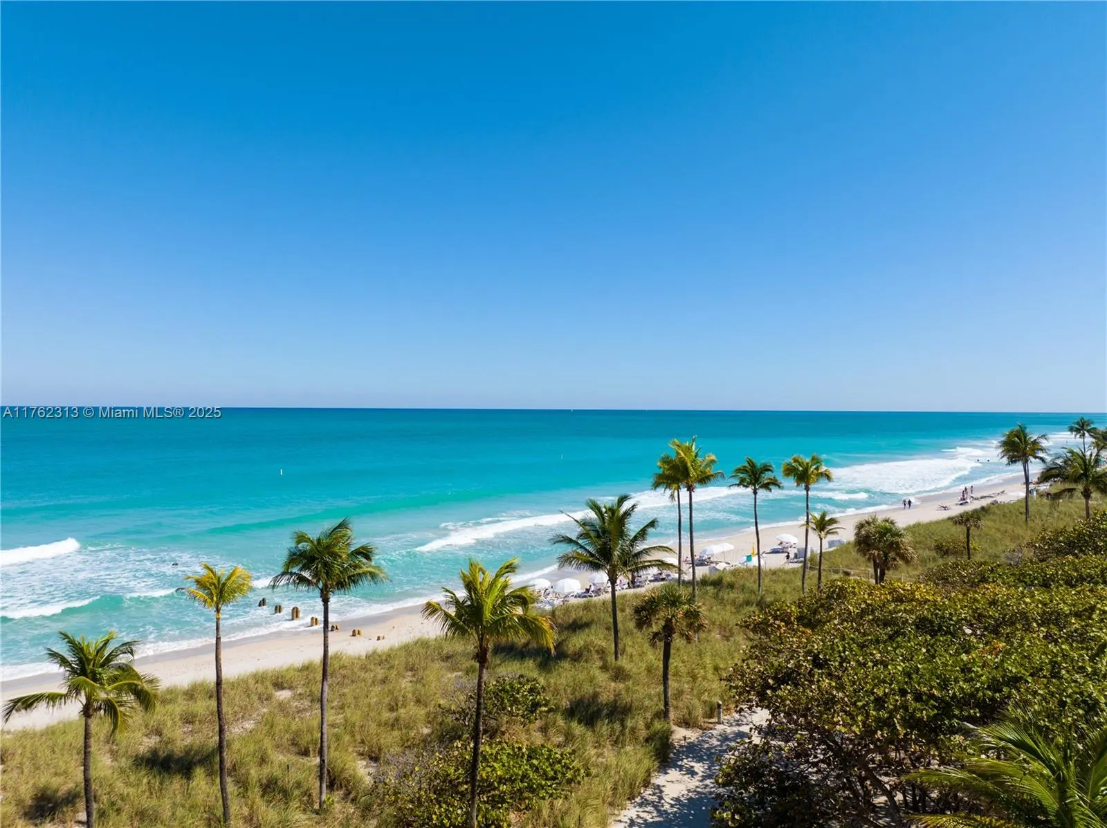 10225 Collins Ave, #802