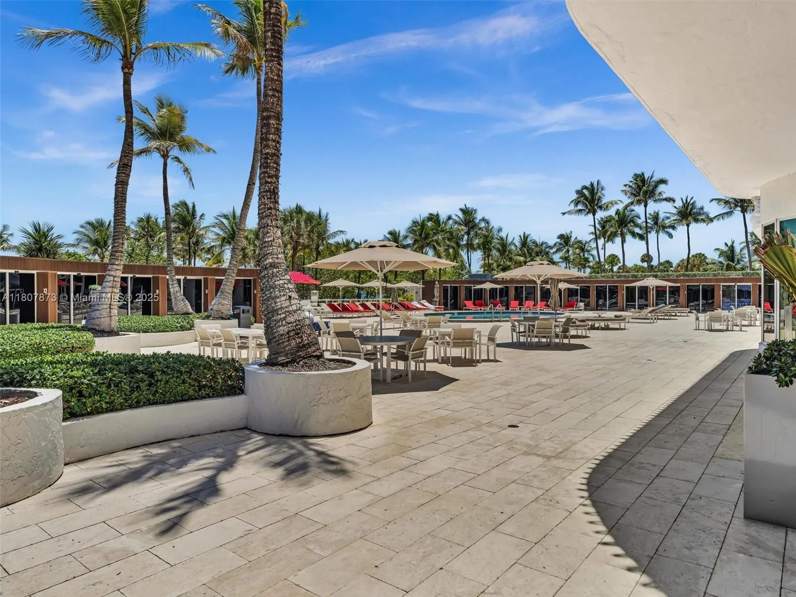 10155 Collins Ave, #408