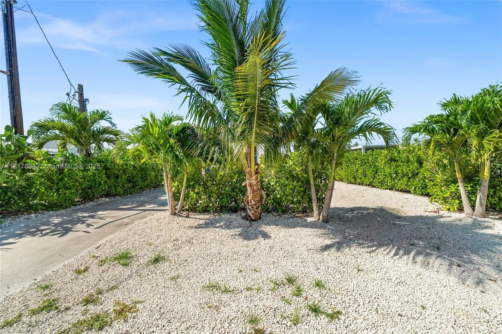 648 E Palm dr