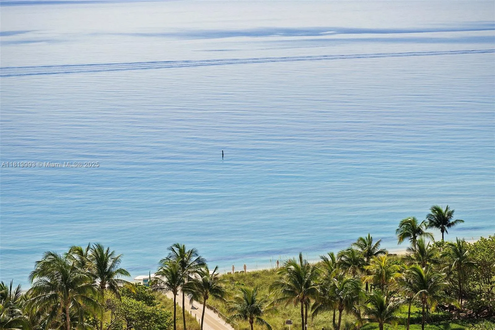 10185 Collins Ave, #1508