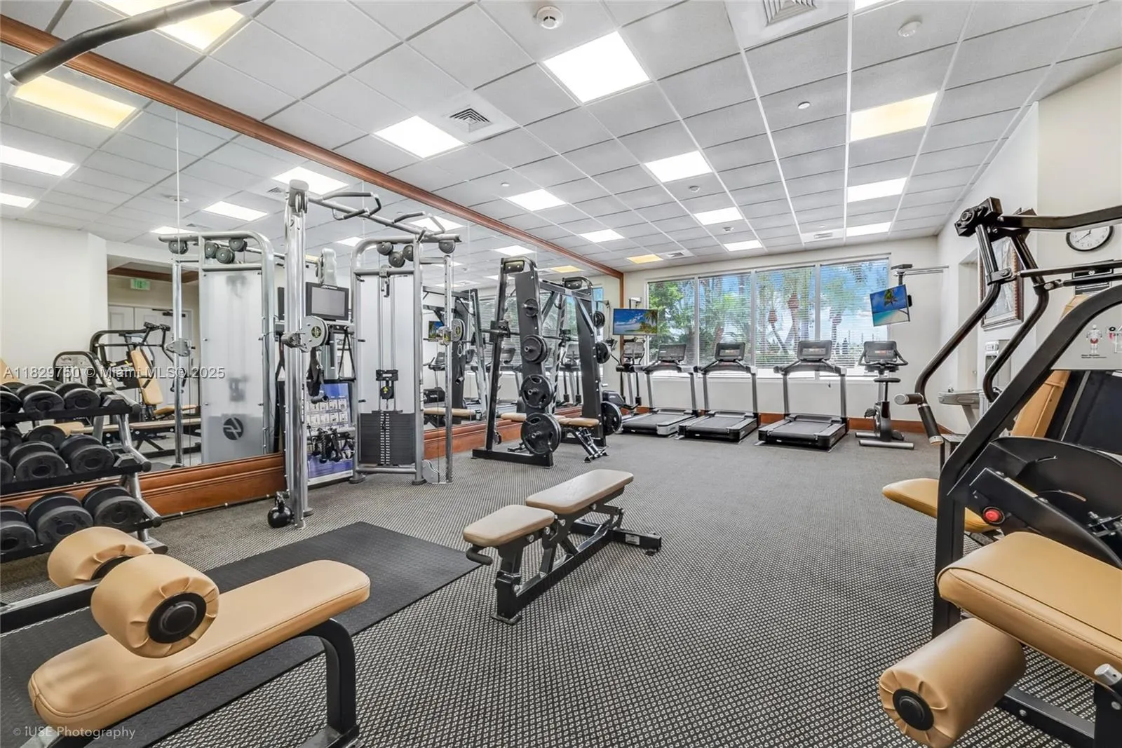 13621 Deering Bay Dr, #502