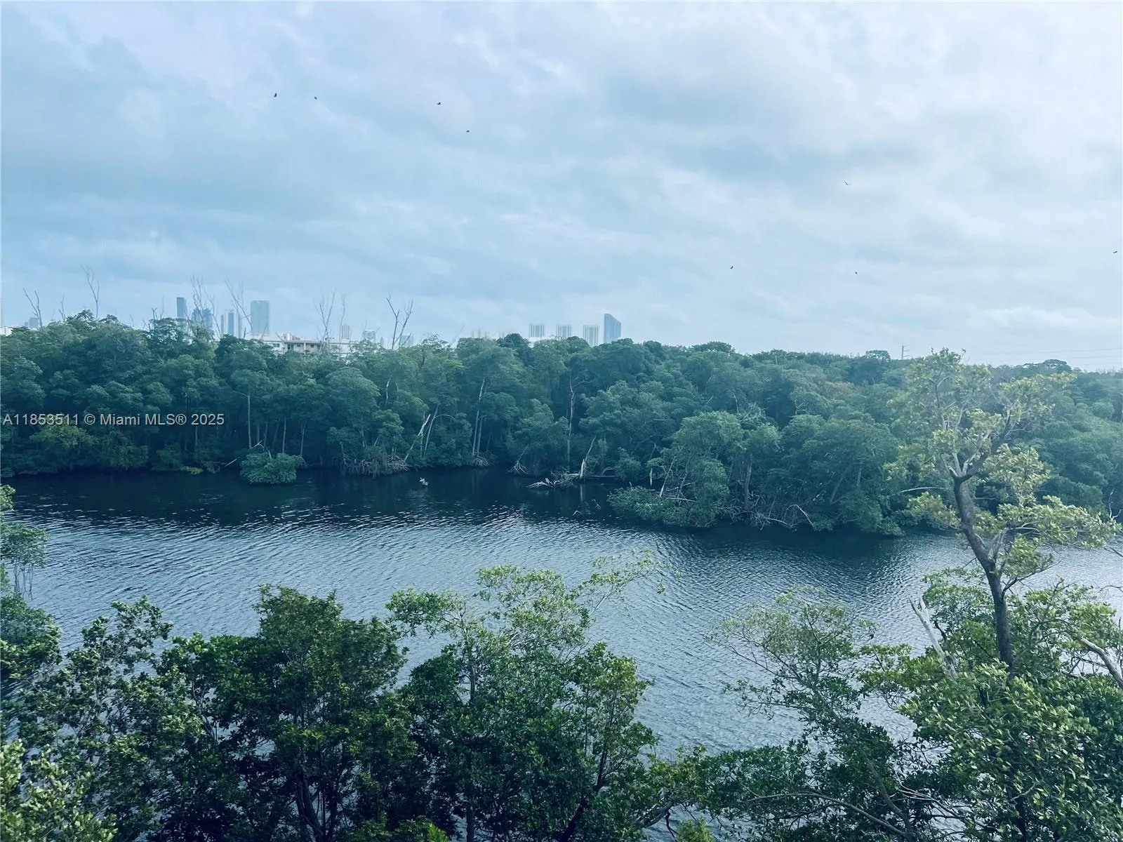 16385 Biscayne Blvd, #421A
