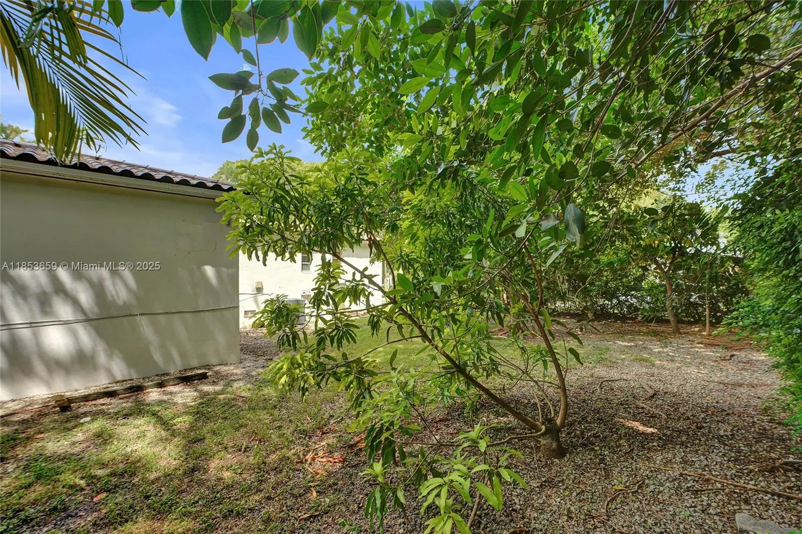 528 Sevilla Ave