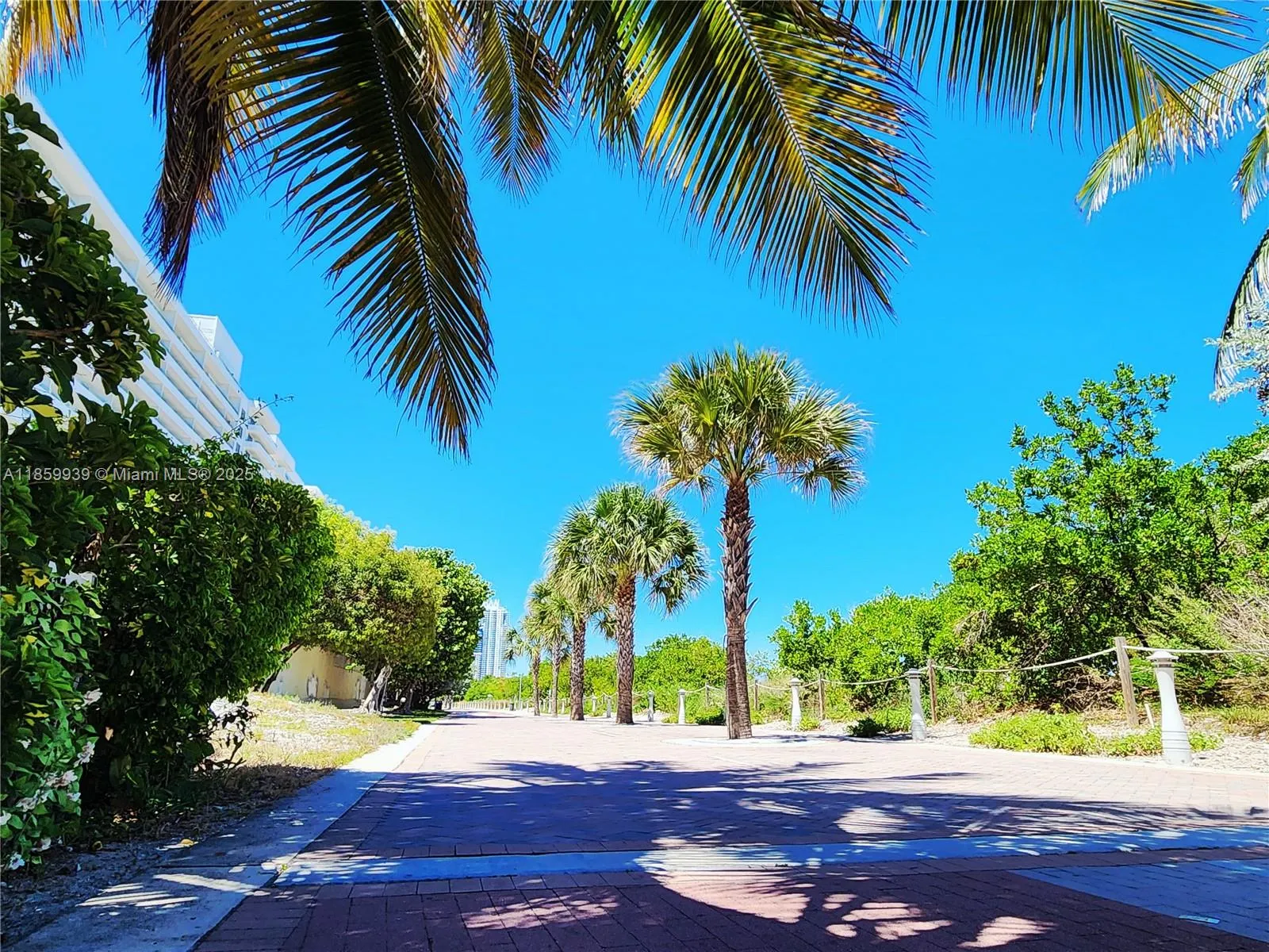 5555 Collins Ave, #9S