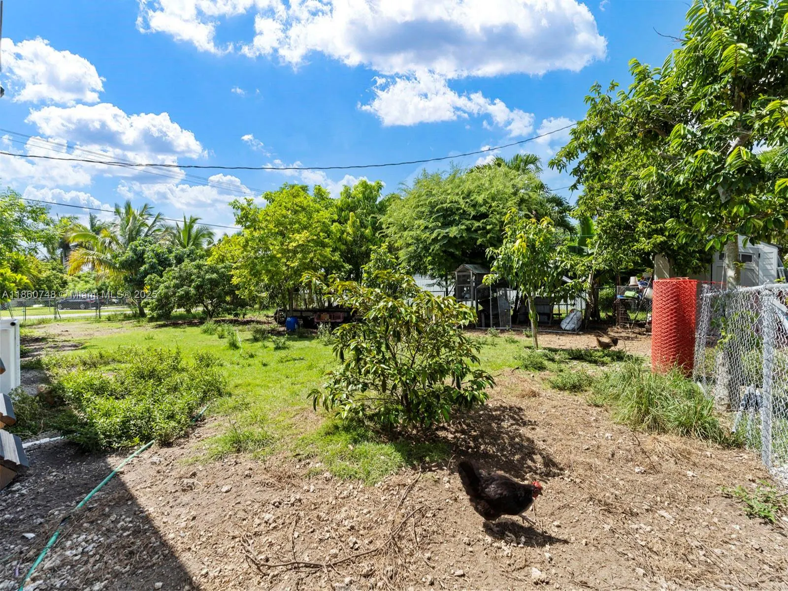 545 NW 10th St