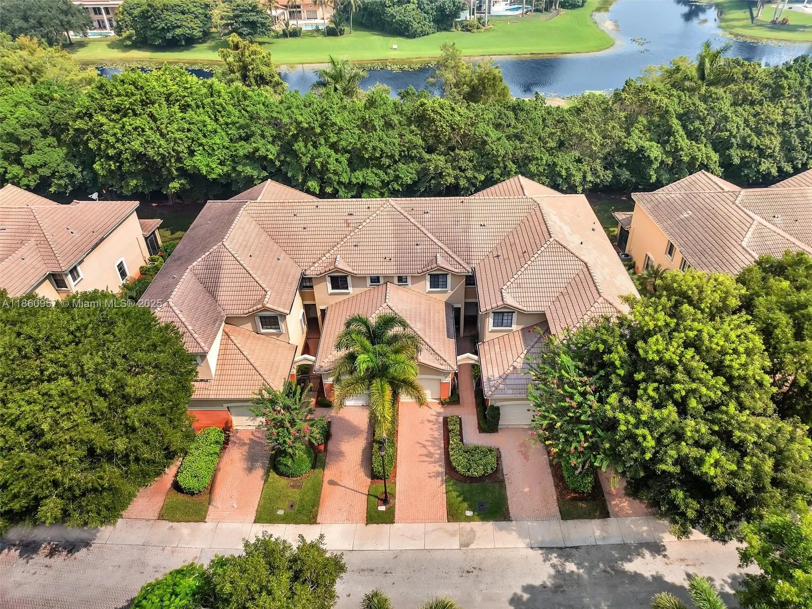 3853 Tree Top Dr