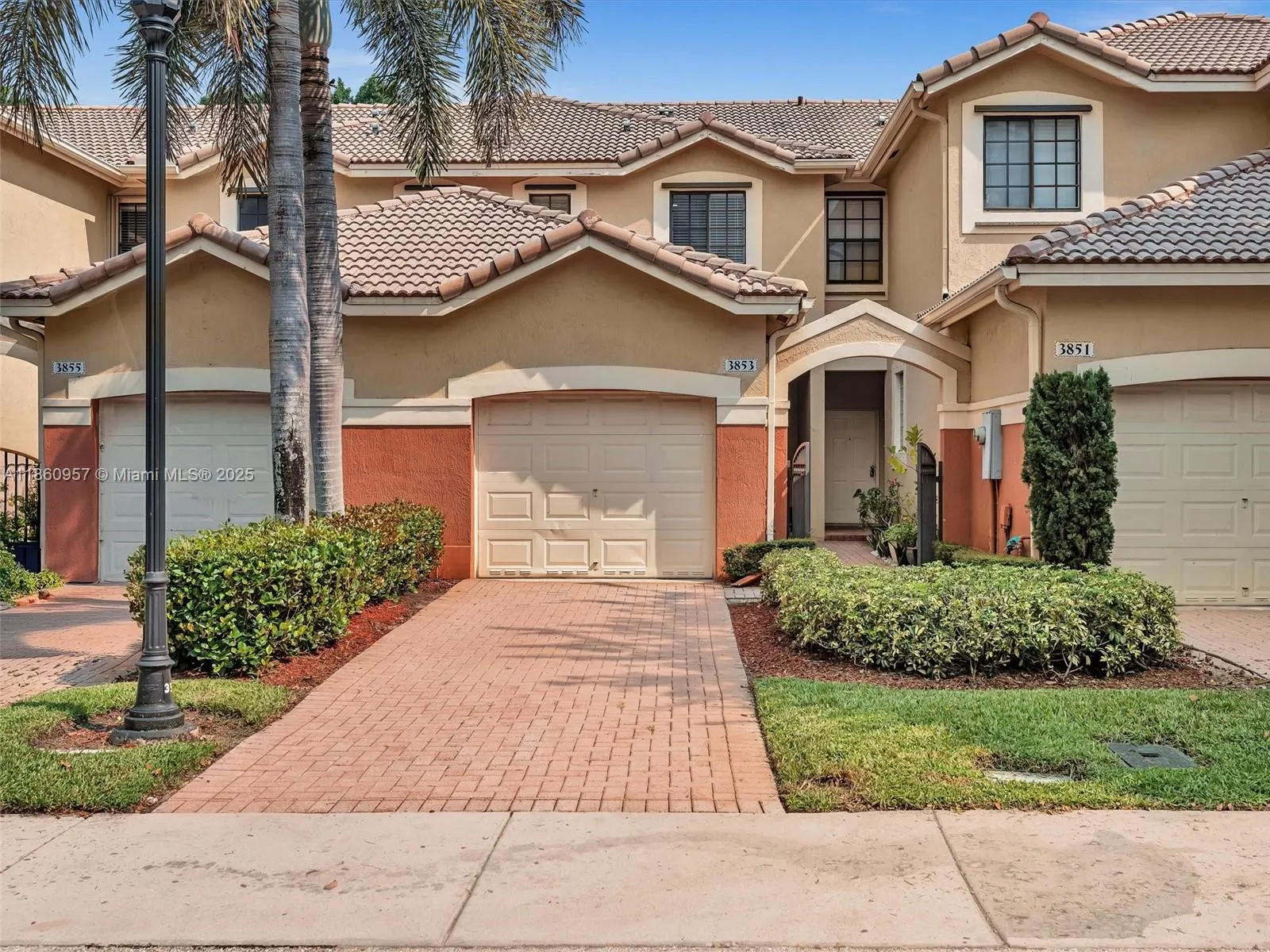 3853 Tree Top Dr