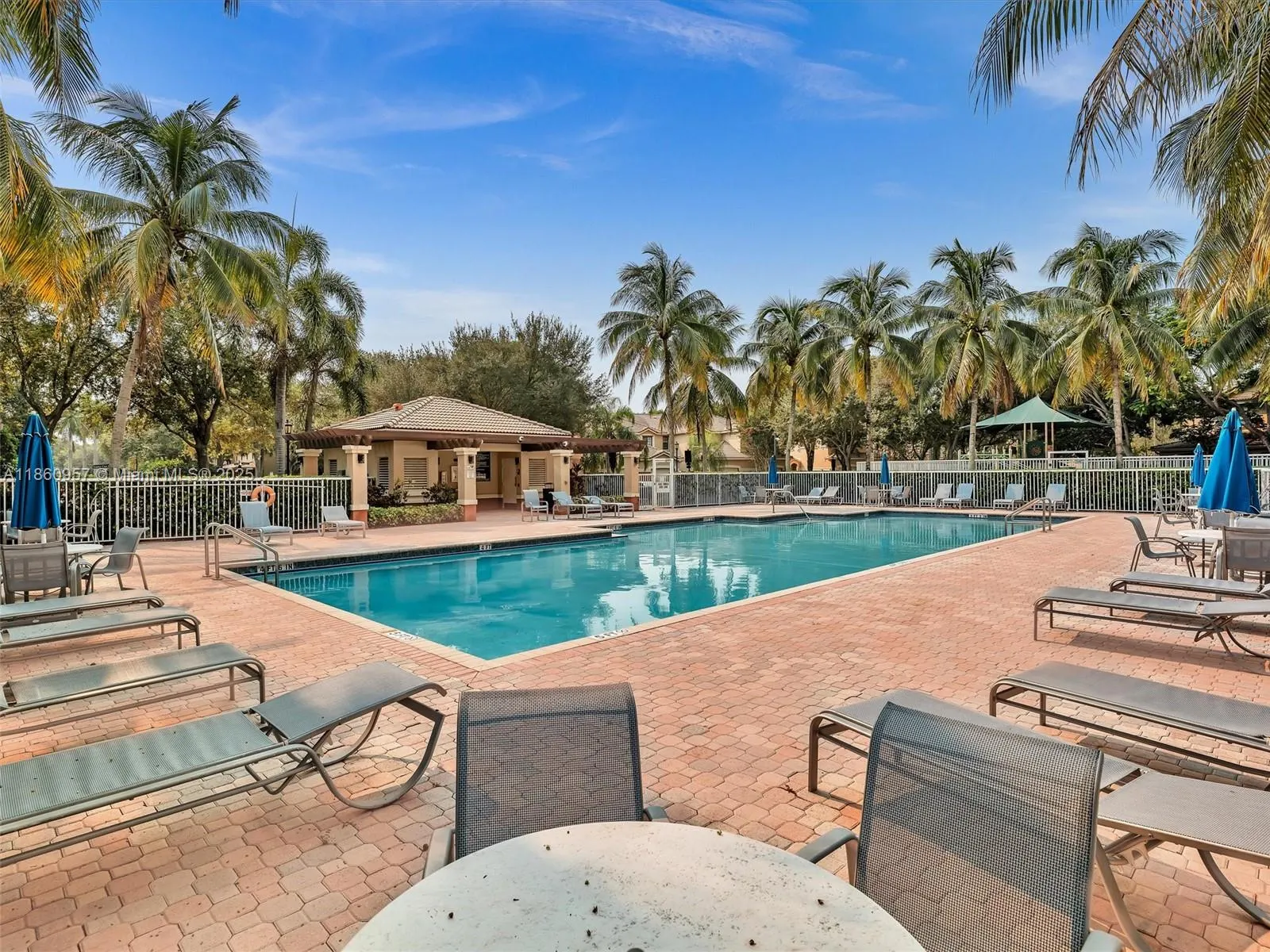 3853 Tree Top Dr