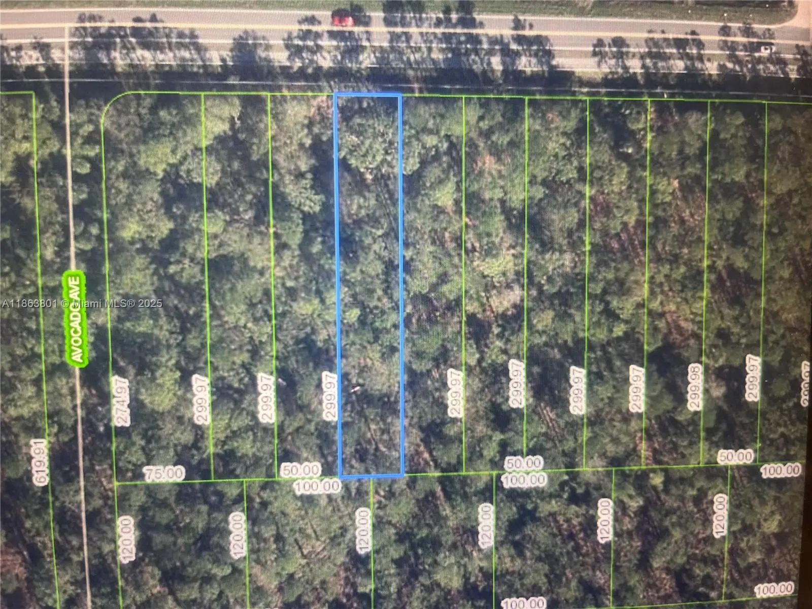 2637 Hammock Rd