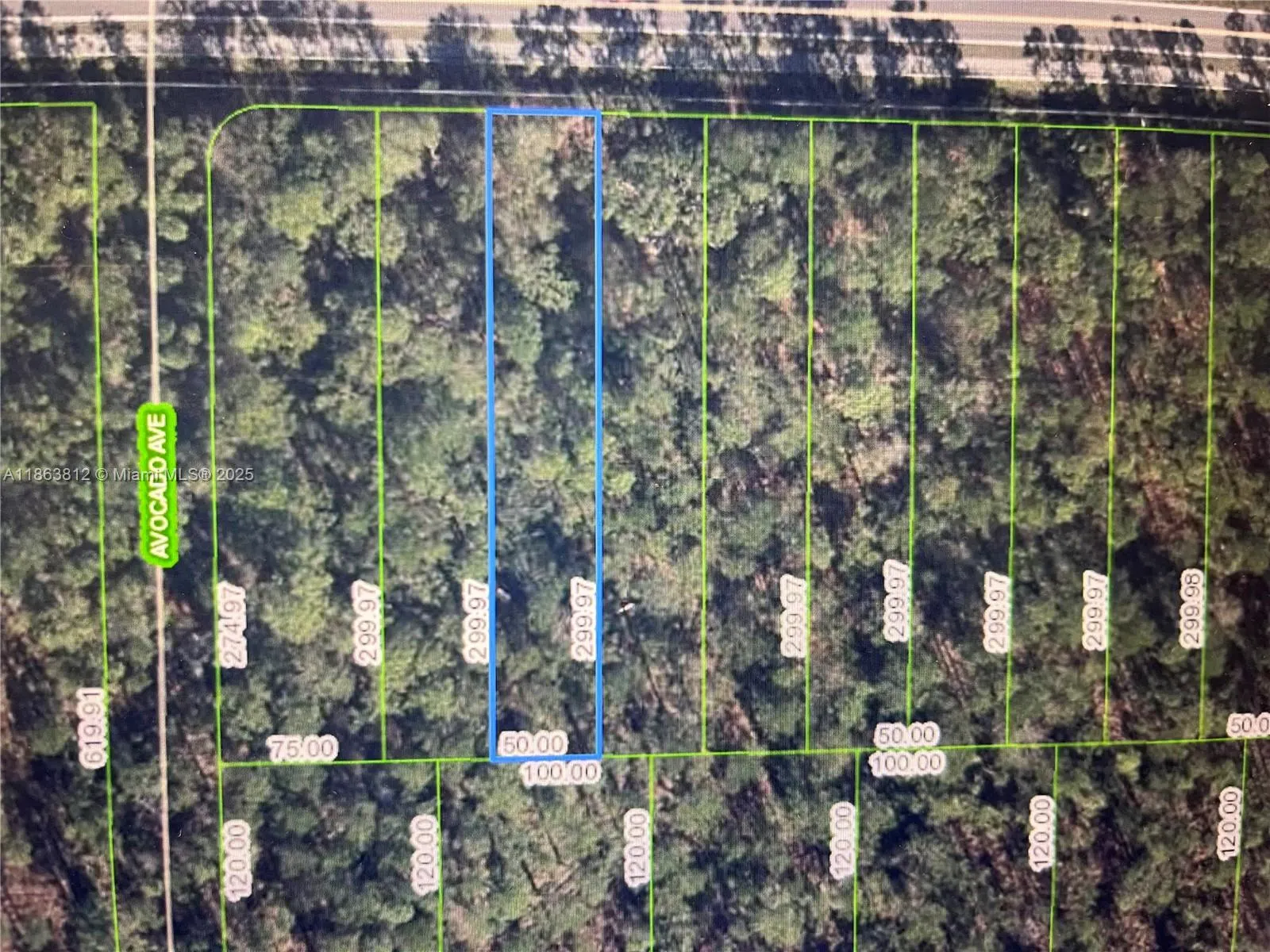 2651 Hammock Rd