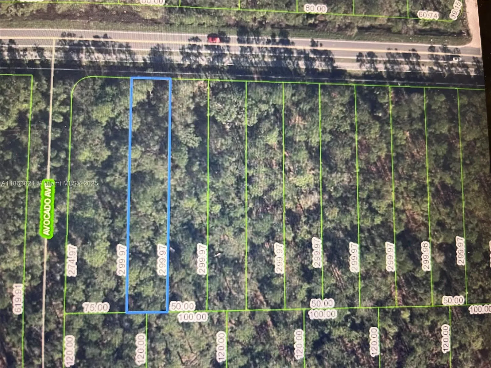 2667 Hammock Rd