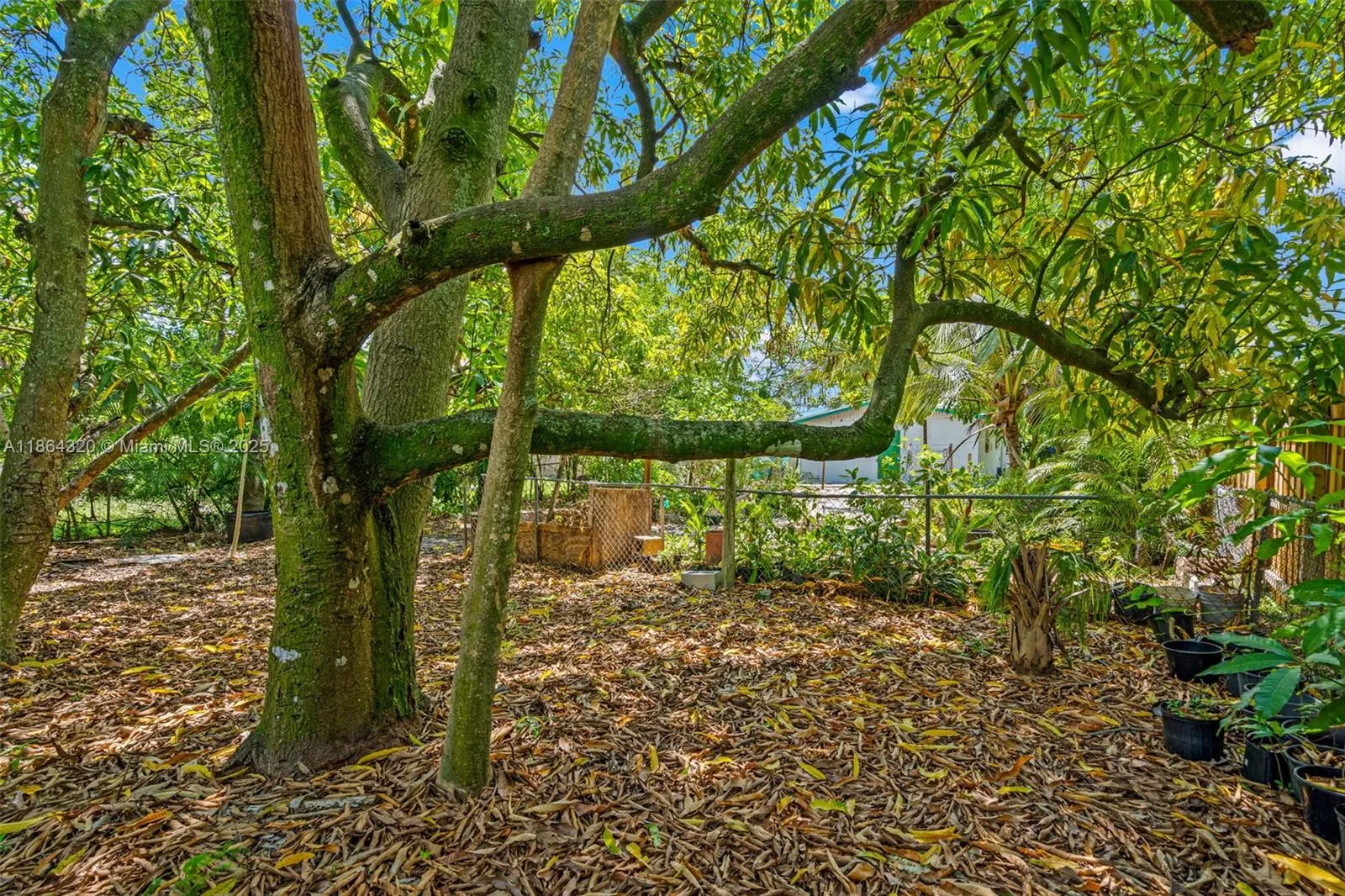 2433 NW 20th St