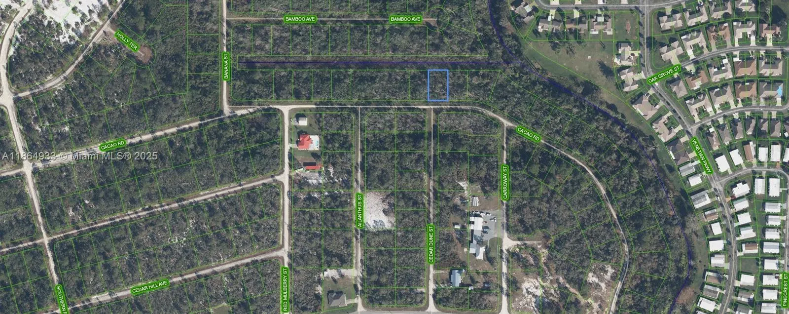3007 Cacao RD