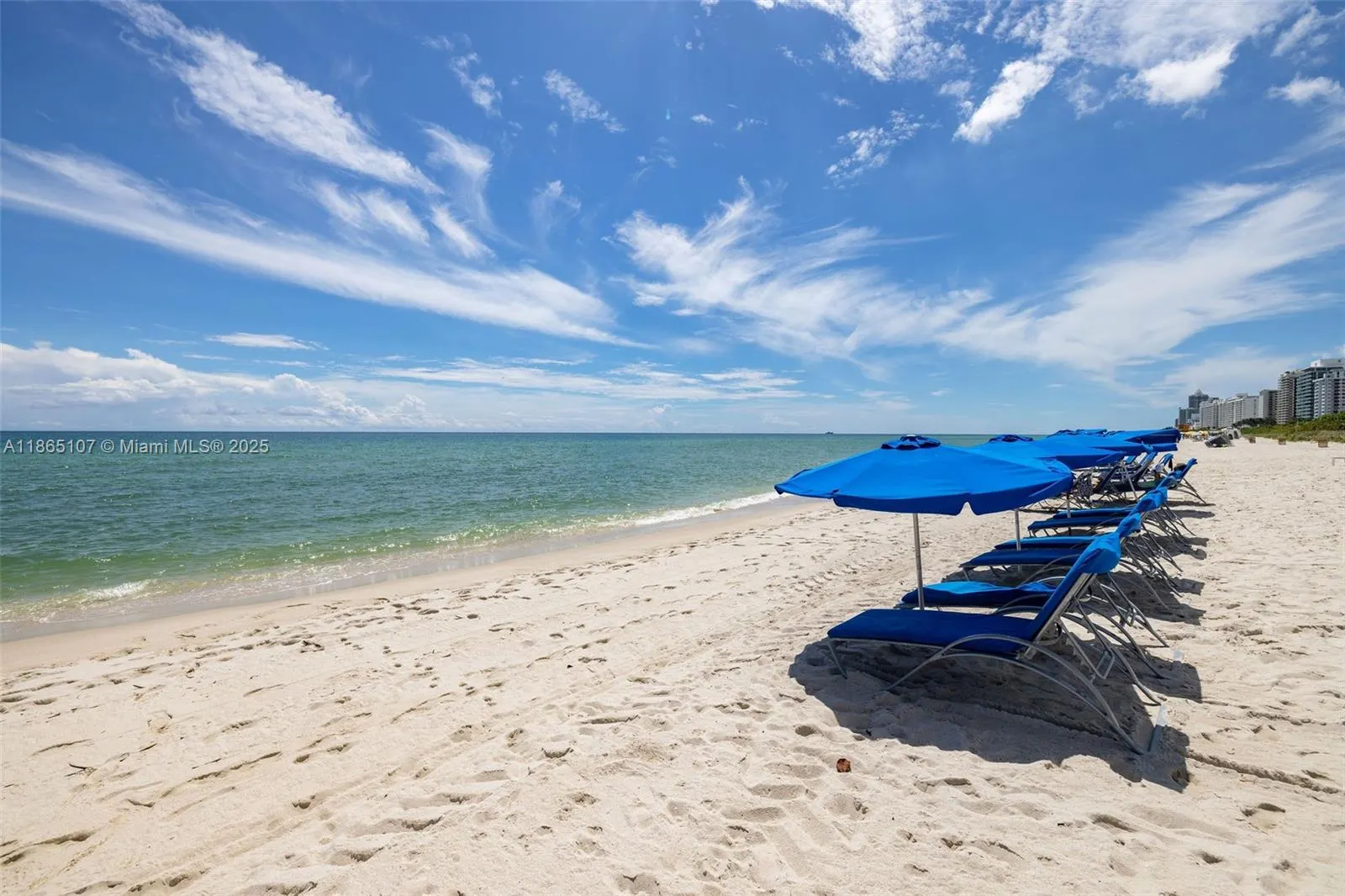6365 Collins Ave, #2703