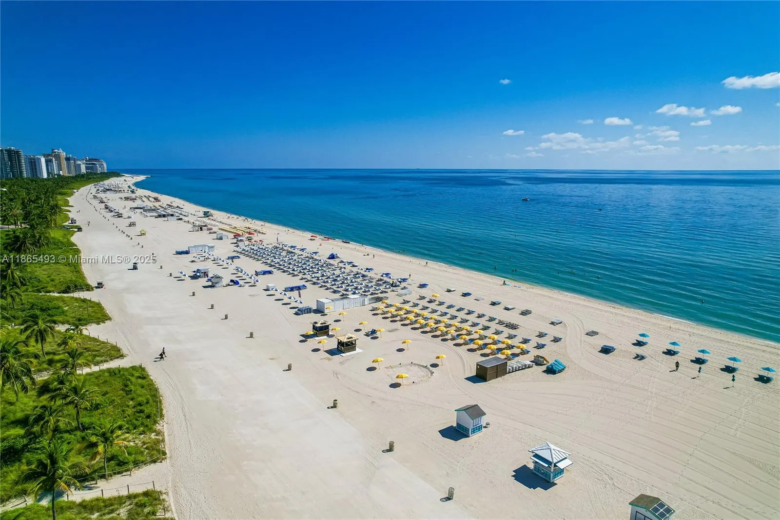 1500 Ocean Drive, #1003
