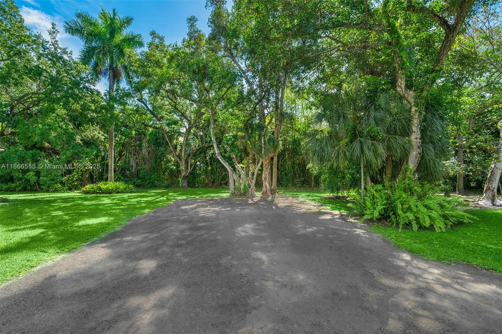 5440 Hammock Dr