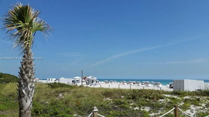 2899 Collins Ave, #1516