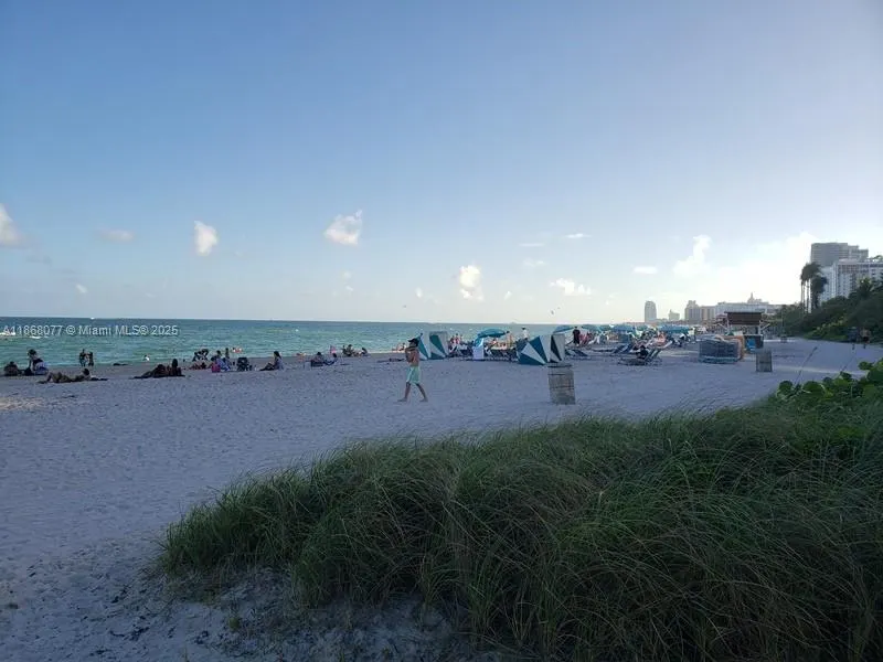 2899 Collins Ave, #1516