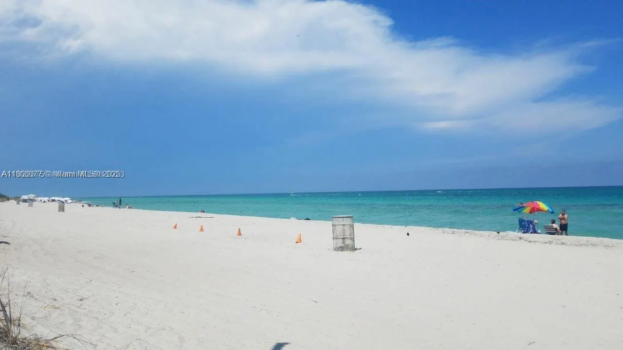 2899 Collins Ave, #1516