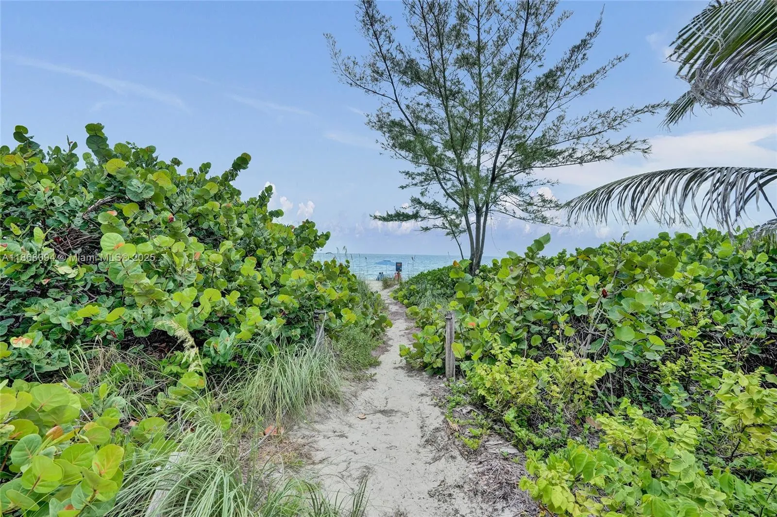 1936 S Ocean Dr, #21D