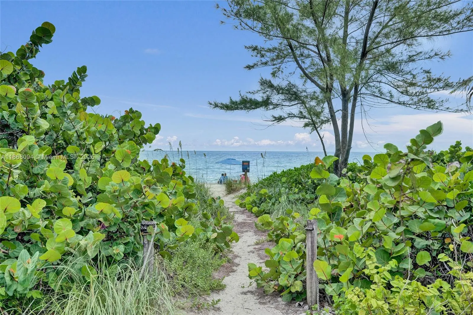 1936 S Ocean Dr, #21D
