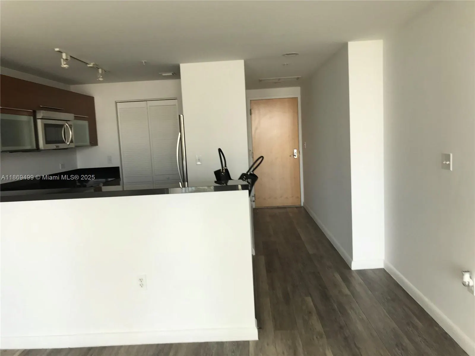 244 Biscayne Blvd, #1104