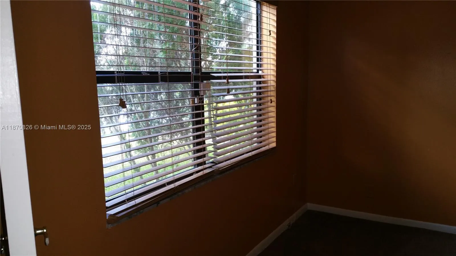 10007 Winding Lake Rd, #102