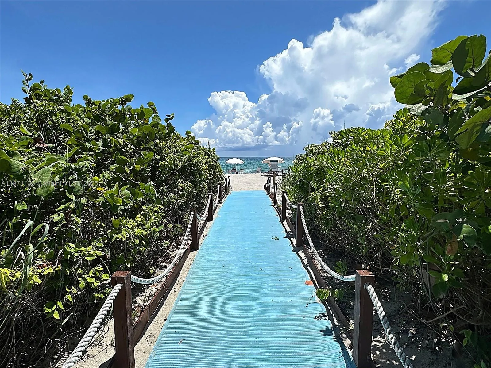 2080 S OCEAN DRIVE, #LPH06