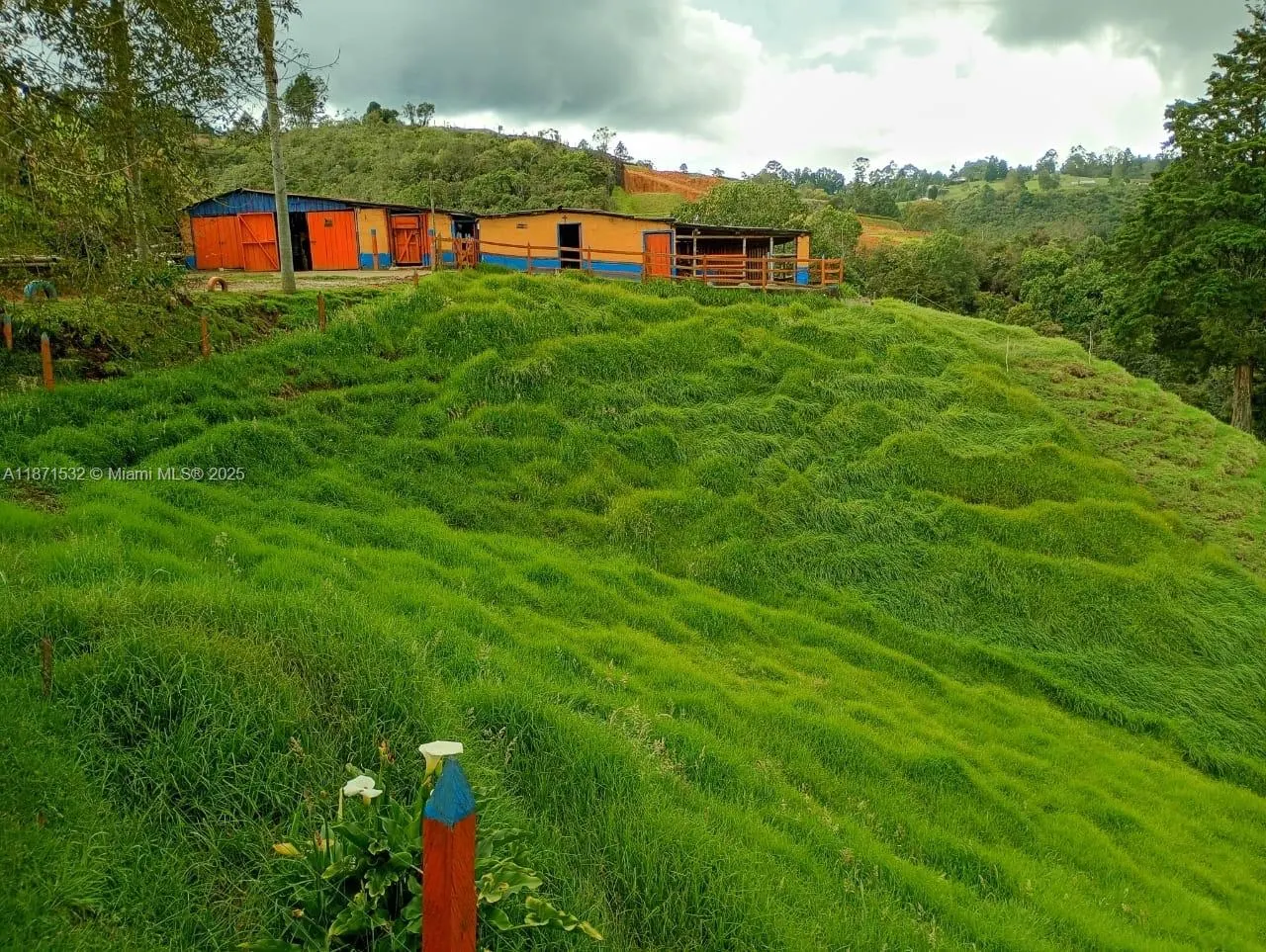 MUNICIPIO DE GUARNE