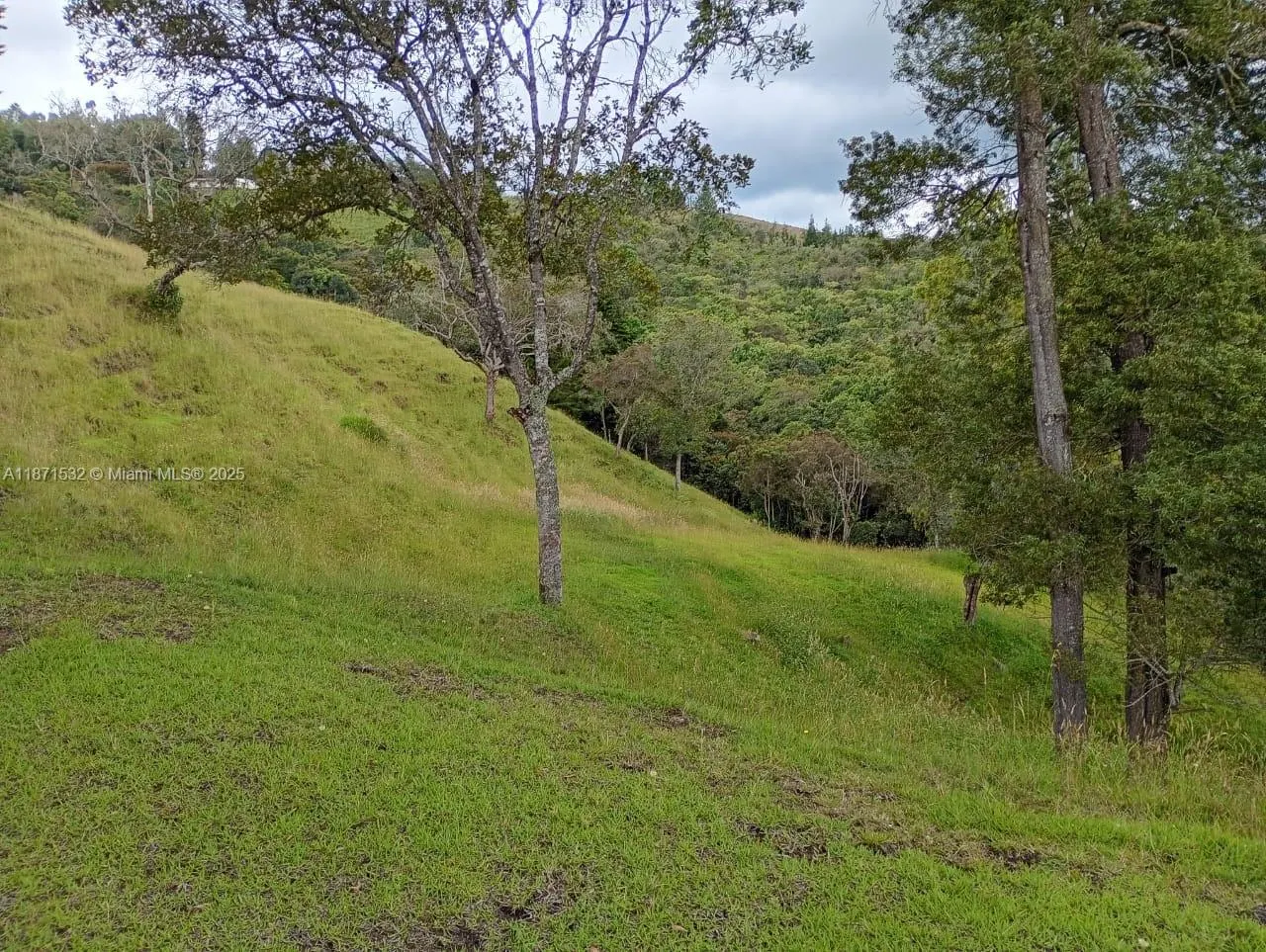 MUNICIPIO DE GUARNE