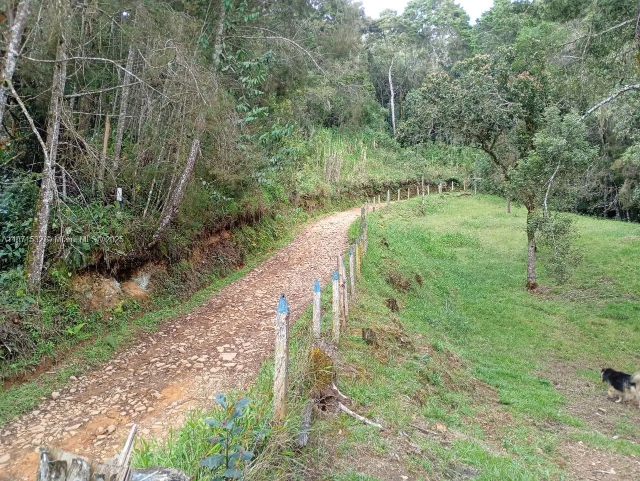 MUNICIPIO DE GUARNE