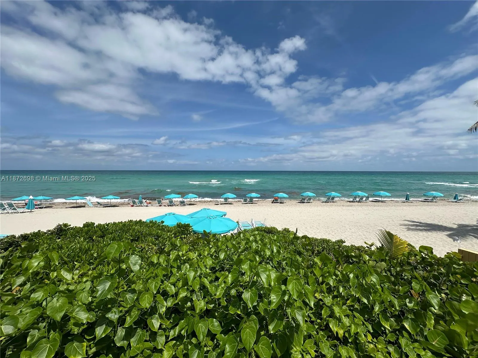 2501 S Ocean Dr, #1129