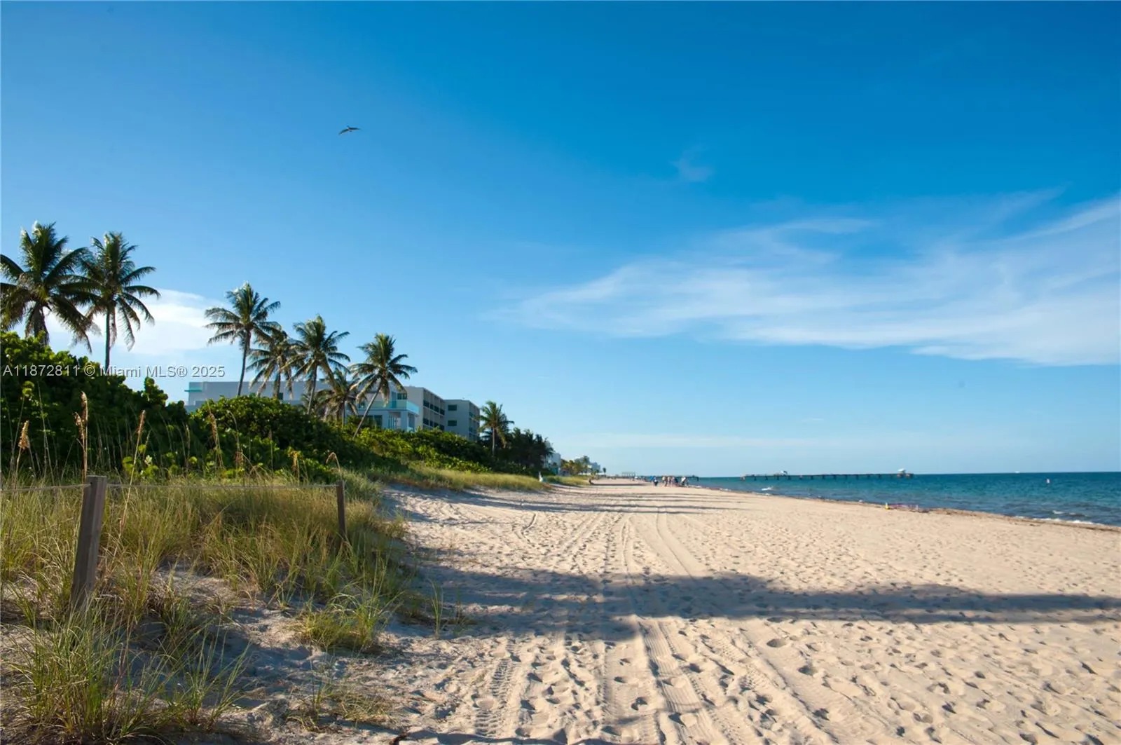 4051 N Ocean Dr, #3