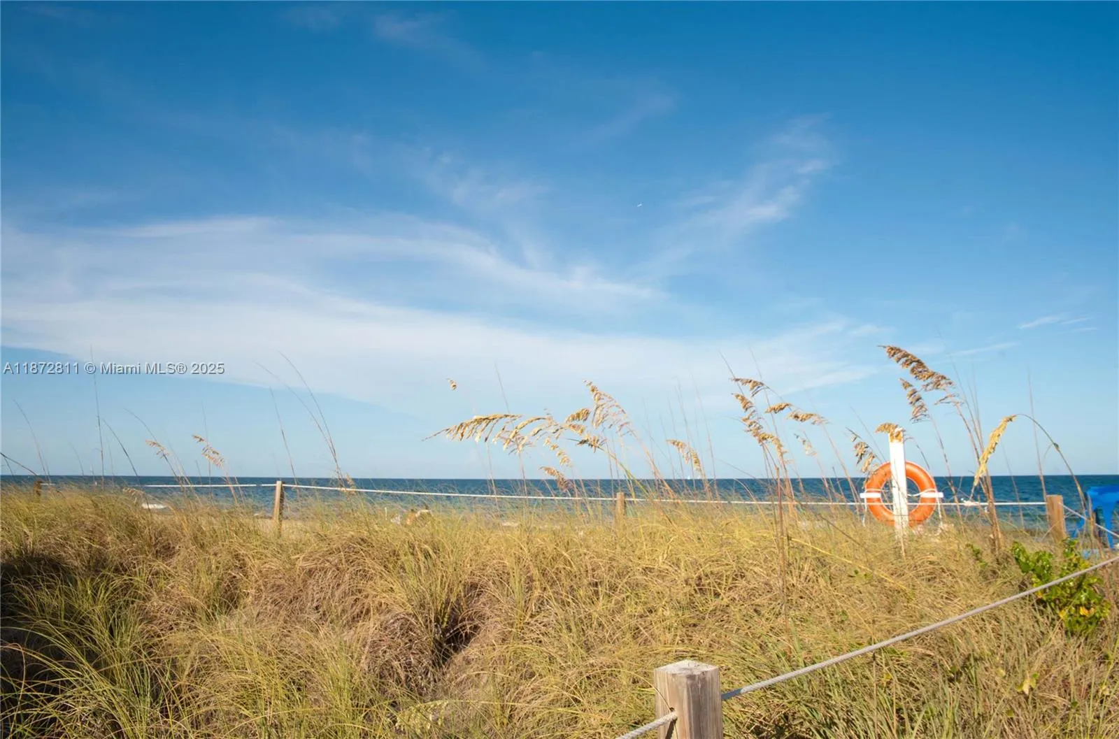 4051 N Ocean Dr, #3