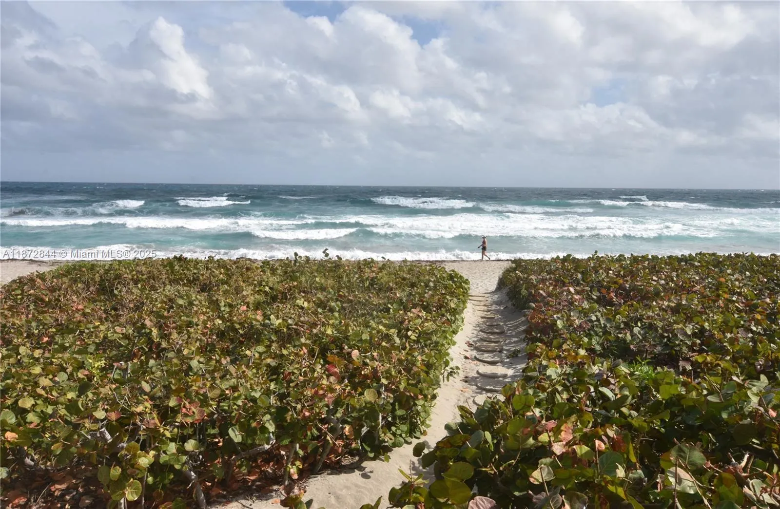 2565 S Ocean Blvd, #205N