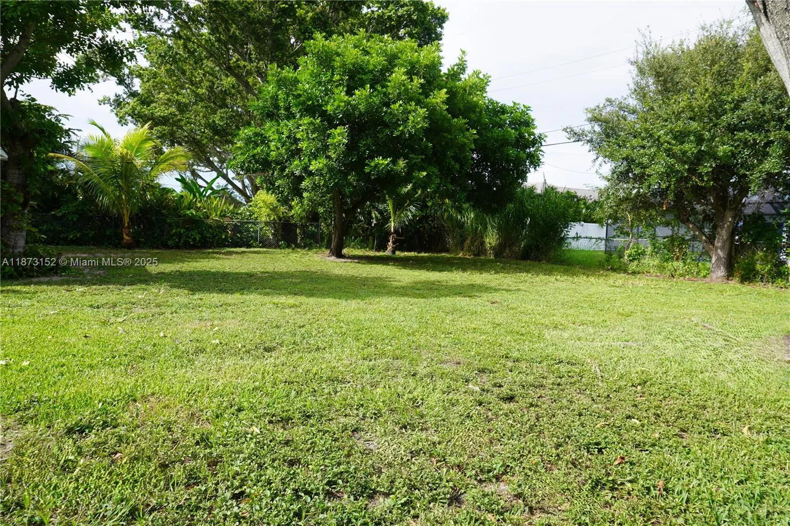 5211 Tower Drive
