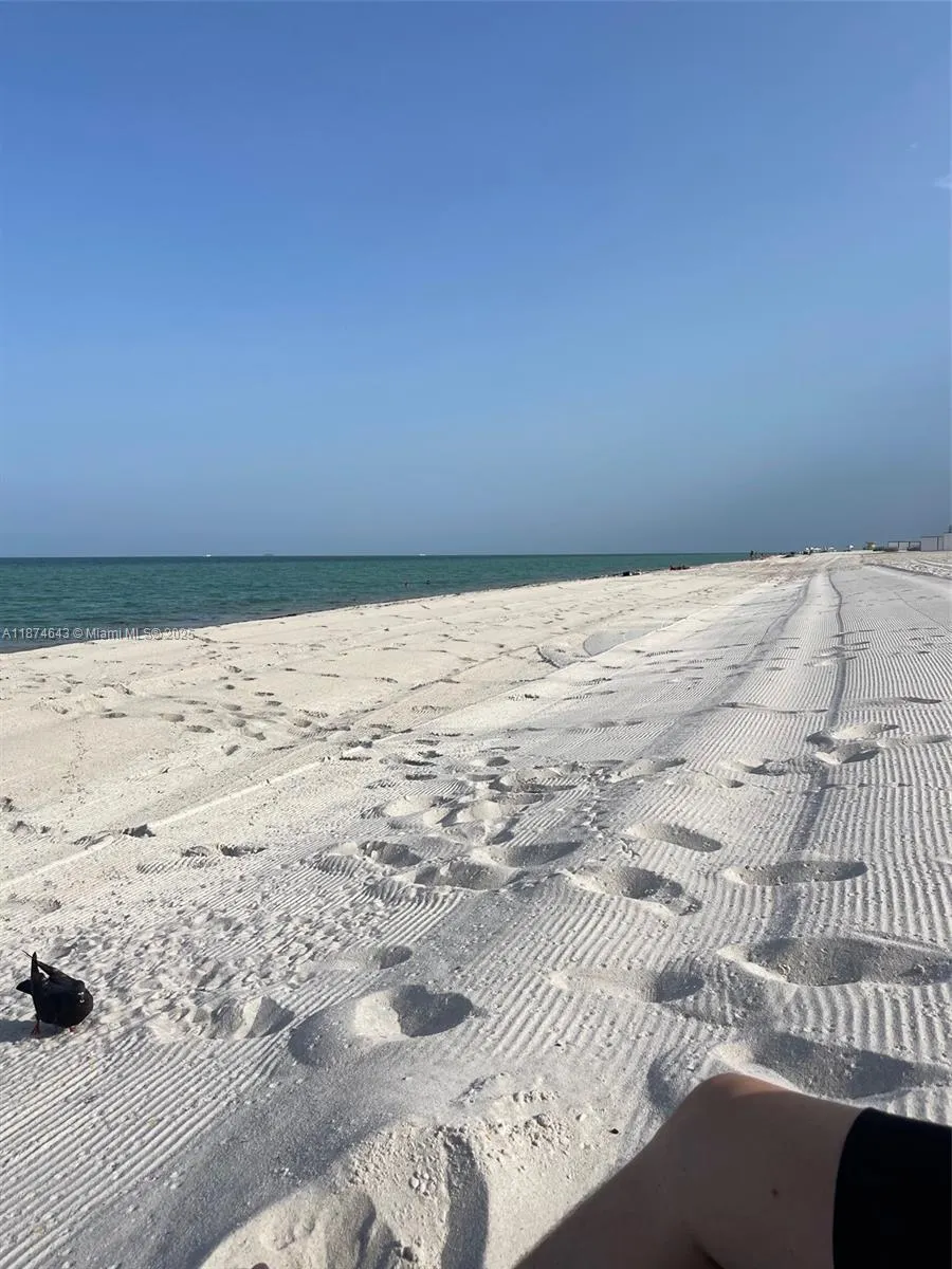 6061 Collins Ave, #23A