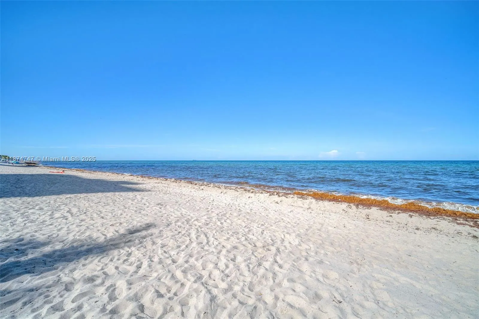 3001 S Ocean Dr, #1231