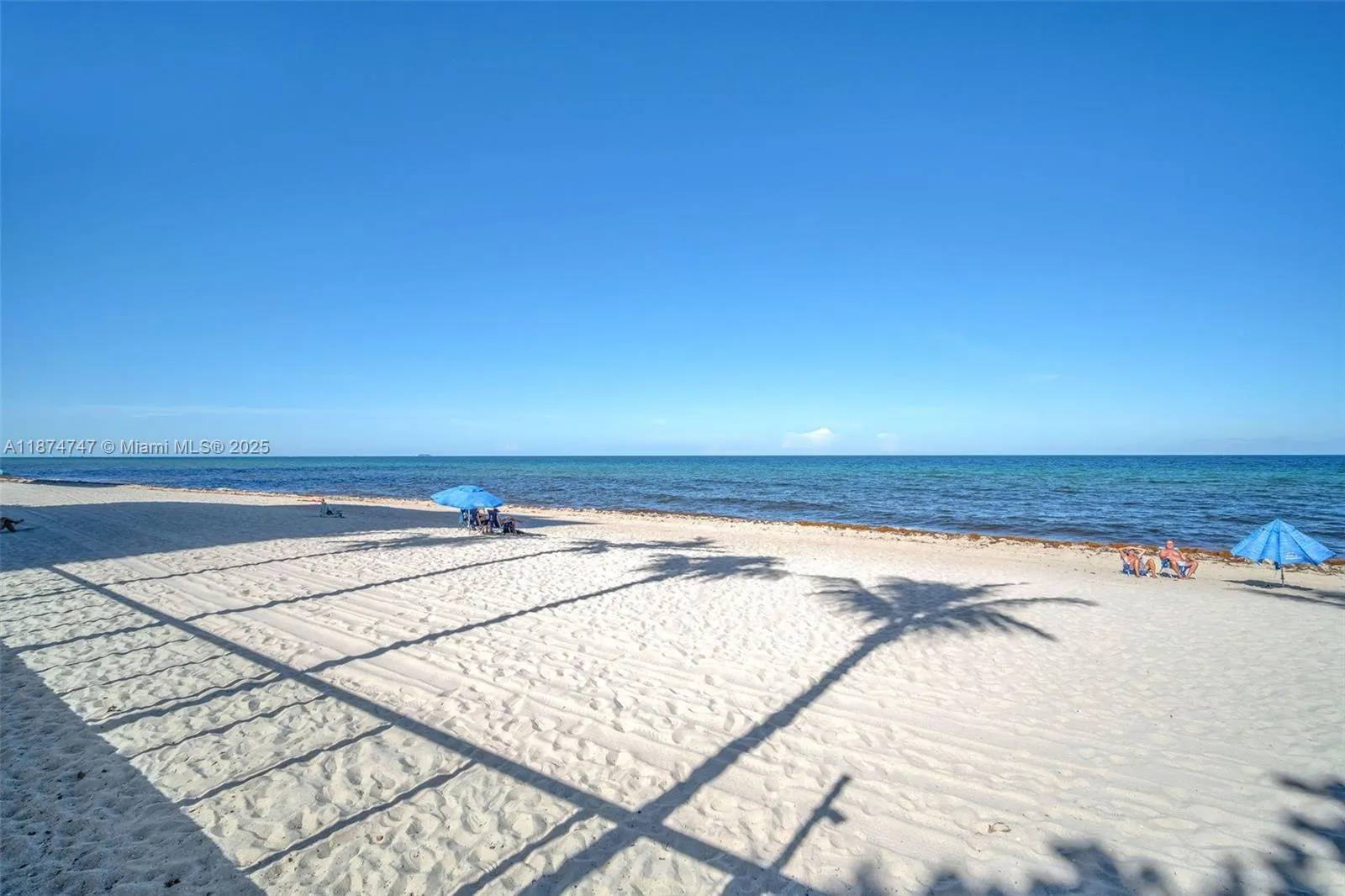 3001 S Ocean Dr, #1231