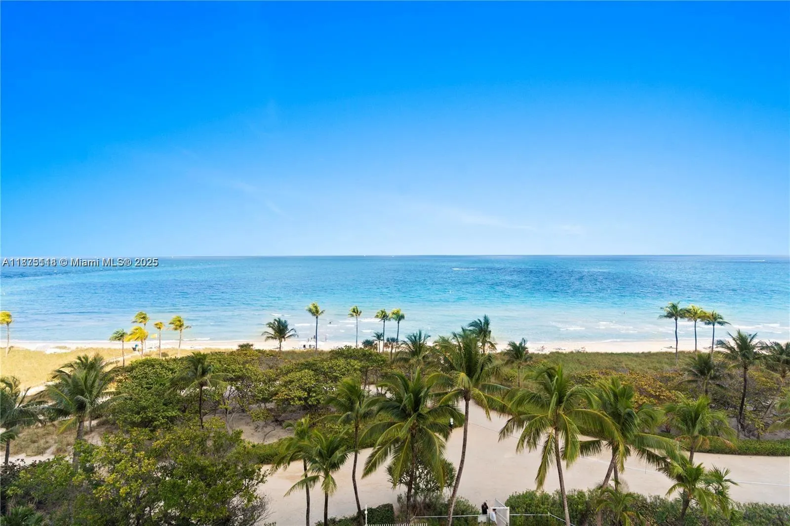 10205 Collins Ave, #608