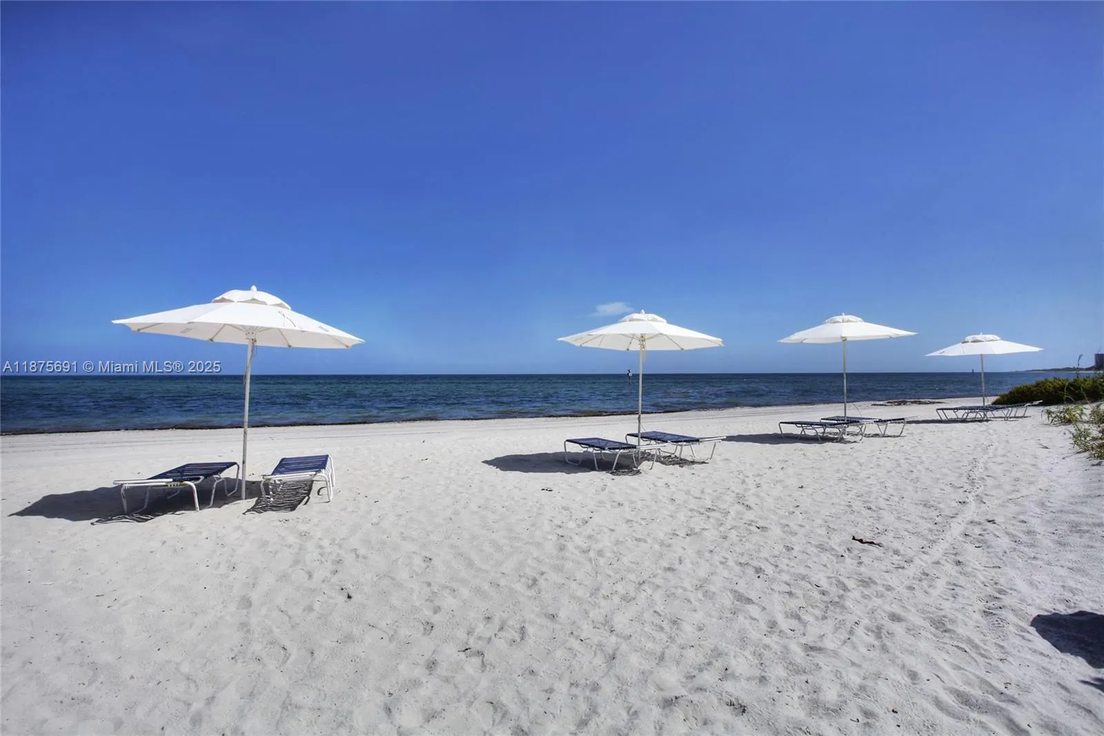 200 Ocean Lane Dr, #703