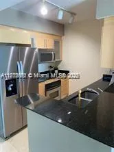 335 S Biscayne Blvd, #4204