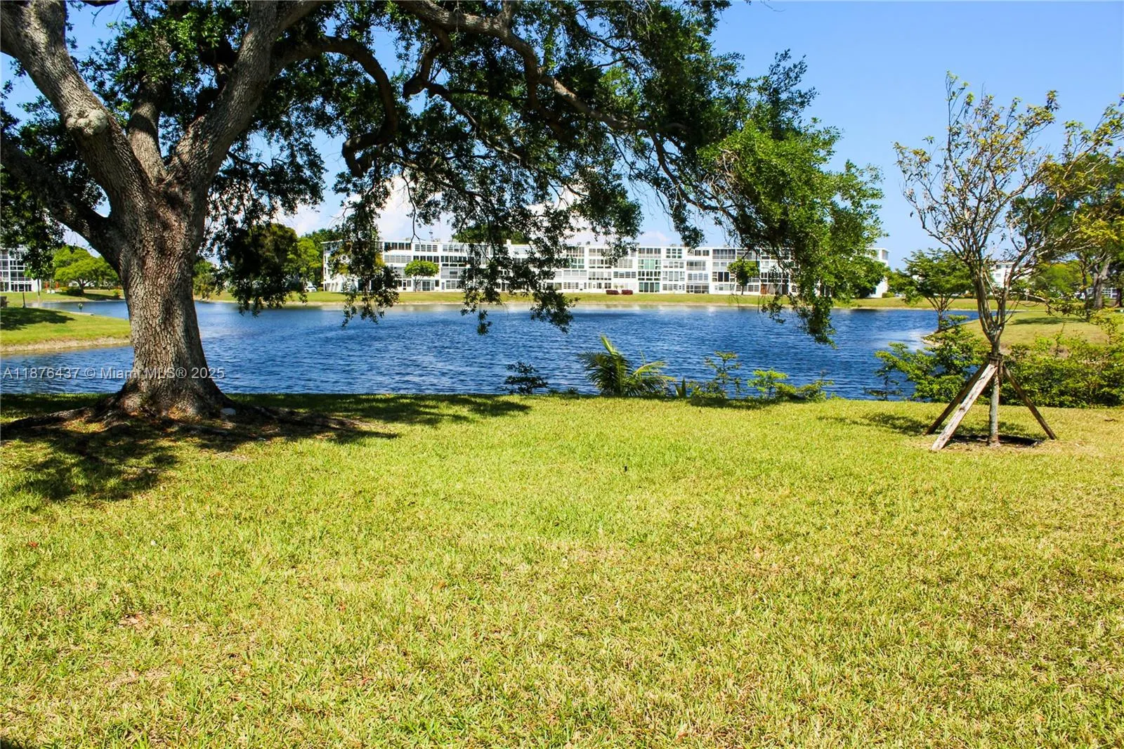 319 Newport V, #319
