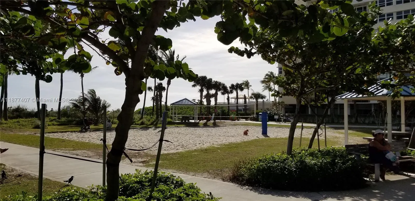 1980 S Ocean Dr, #9M