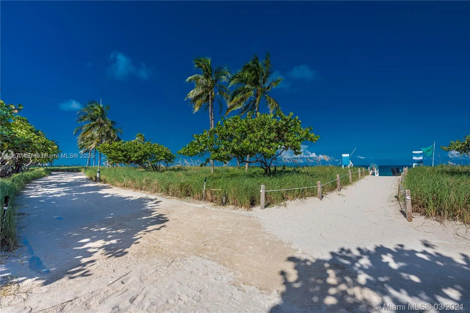 10185 Collins Ave, #319