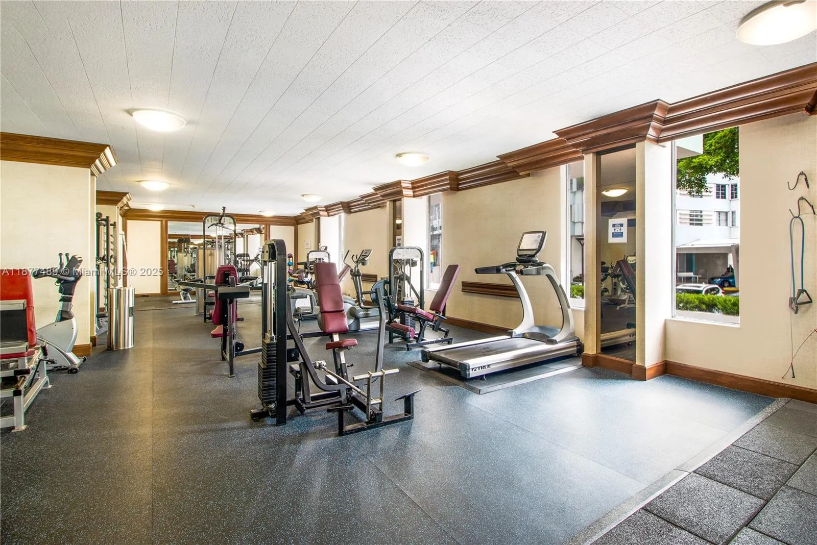 5 Island Ave, #11F