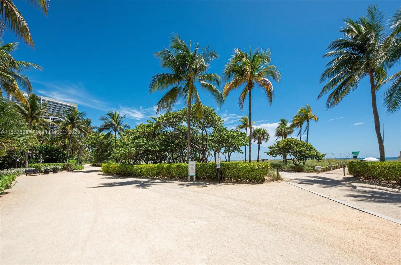 10205 Collins Ave, #807